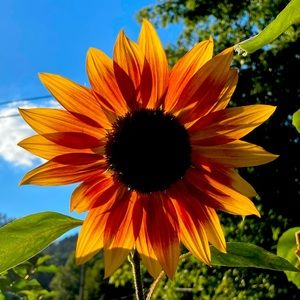 Meet your Posher, Christy